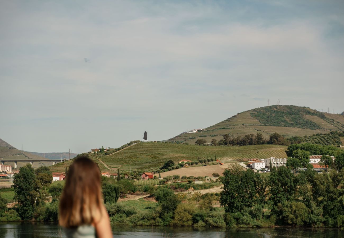 Villa em Peso da Régua - Feel Discovery Casa com Alma Douro Valley