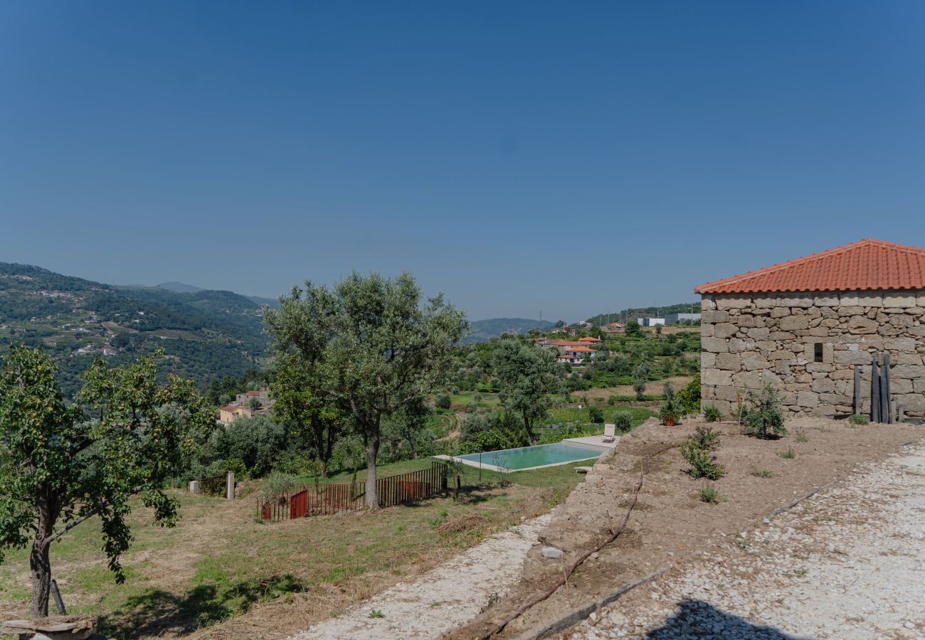 Villa em Resende - Feel Discovery Casa da Granja Douro Valley