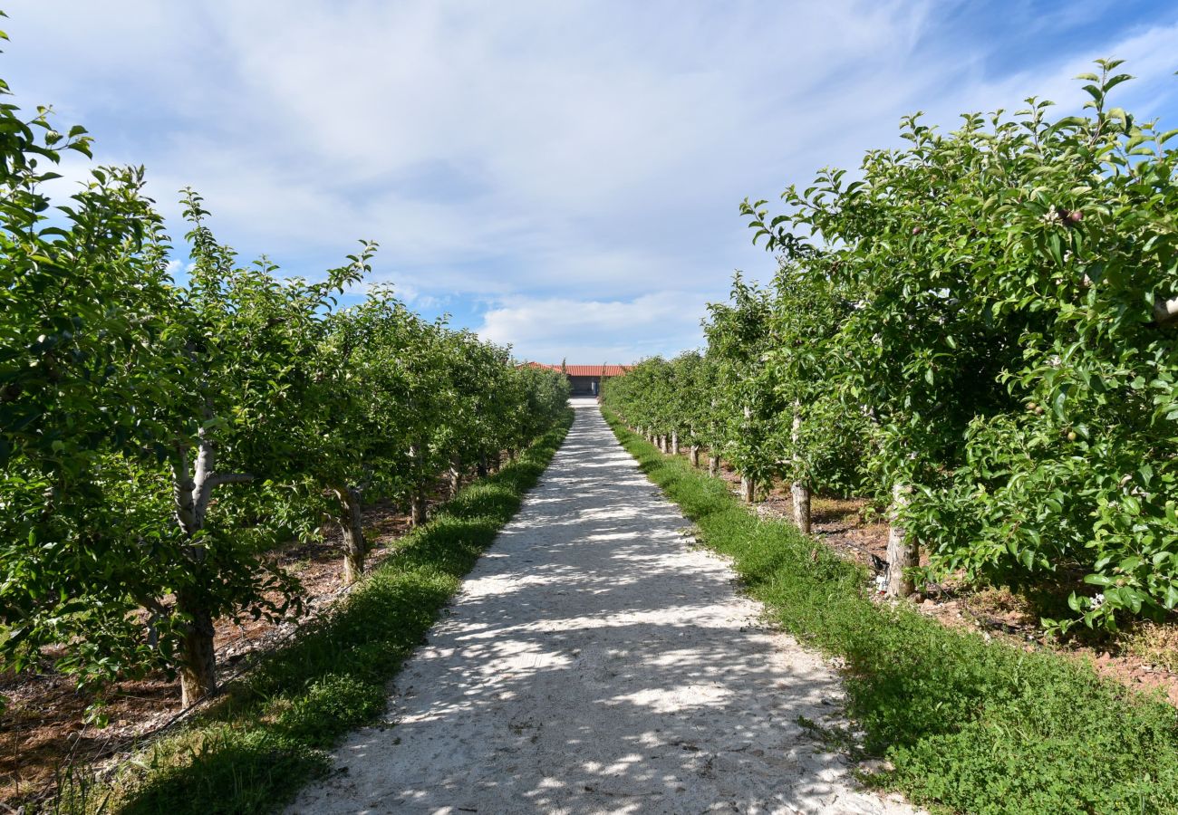 Villa in Armamar - Feel Discovery Maçã Douro