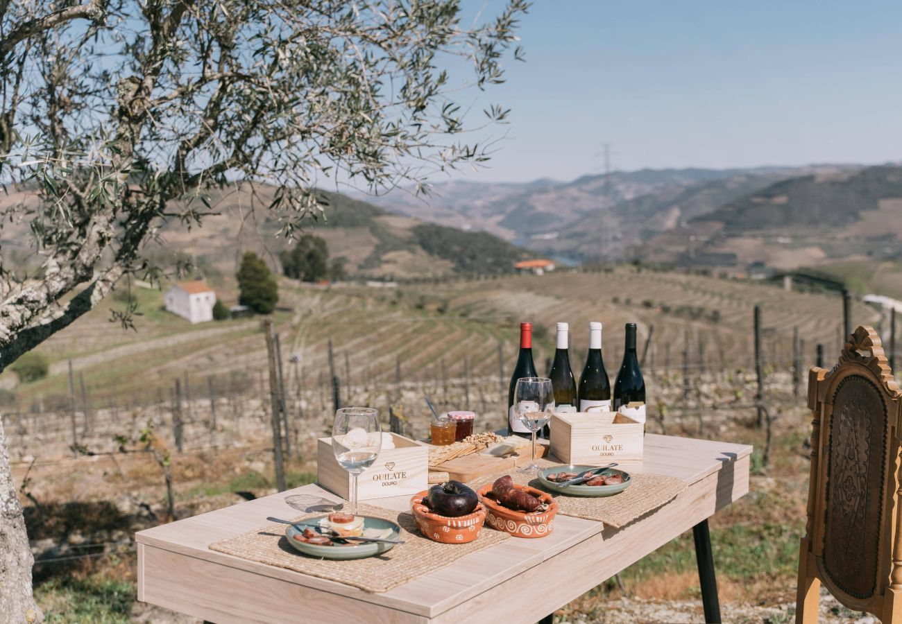 Villa in Peso da Régua - Feel Discovery Quinta do Muro Douro Valley