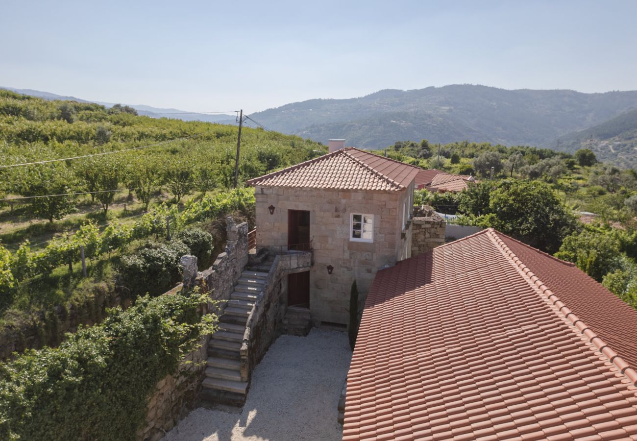 Villa in Resende - Feel Discovery Casa da Granja Douro Valley