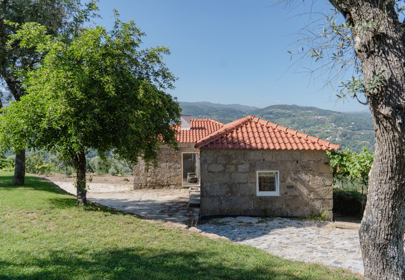 Villa in Resende - Feel Discovery Casa da Granja Douro Valley