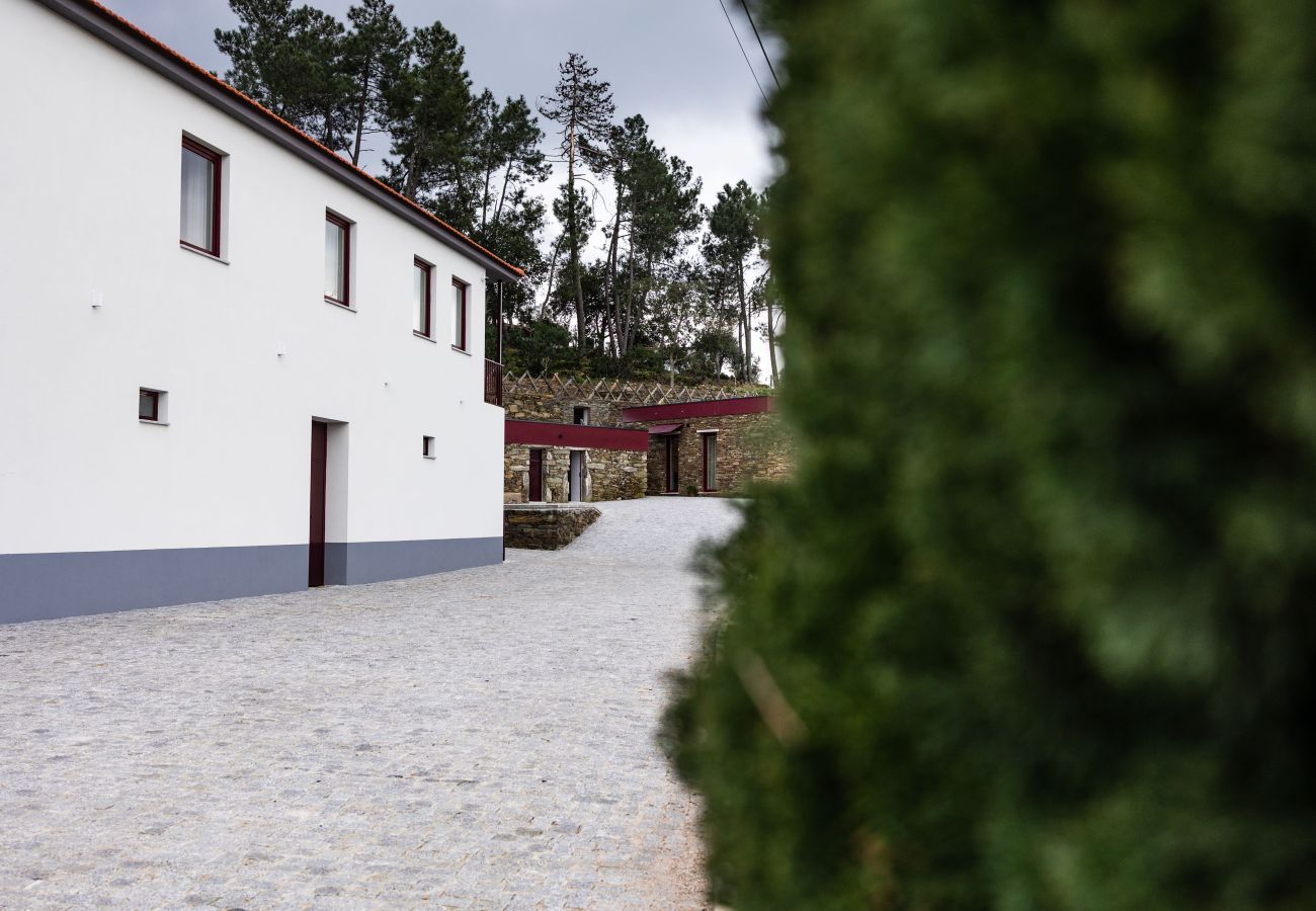 Villa in Peso da Régua - Feel Discovery Casal do Temporão Douro Valley