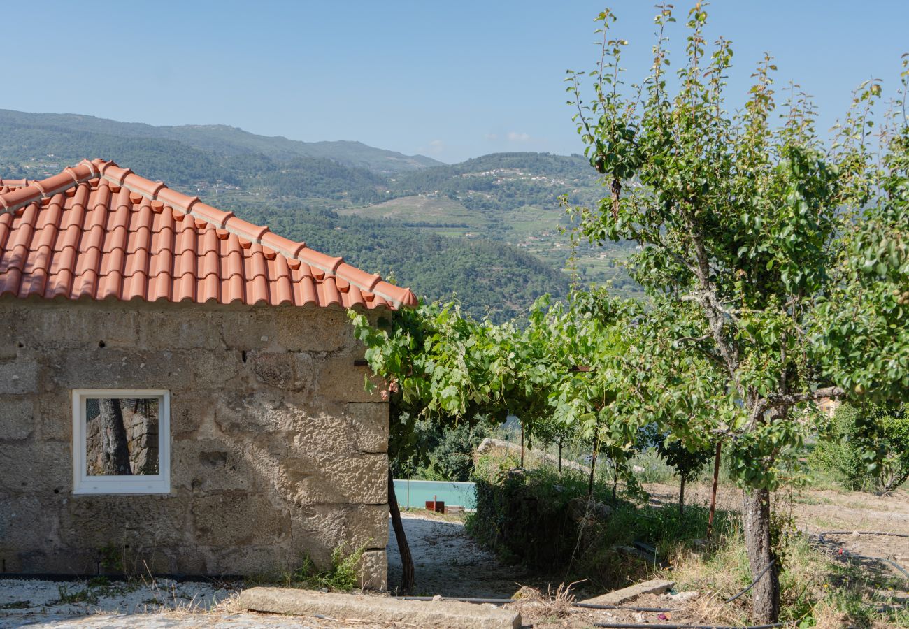 Villa en Resende - Feel Discovery Casa da Granja Douro Valley